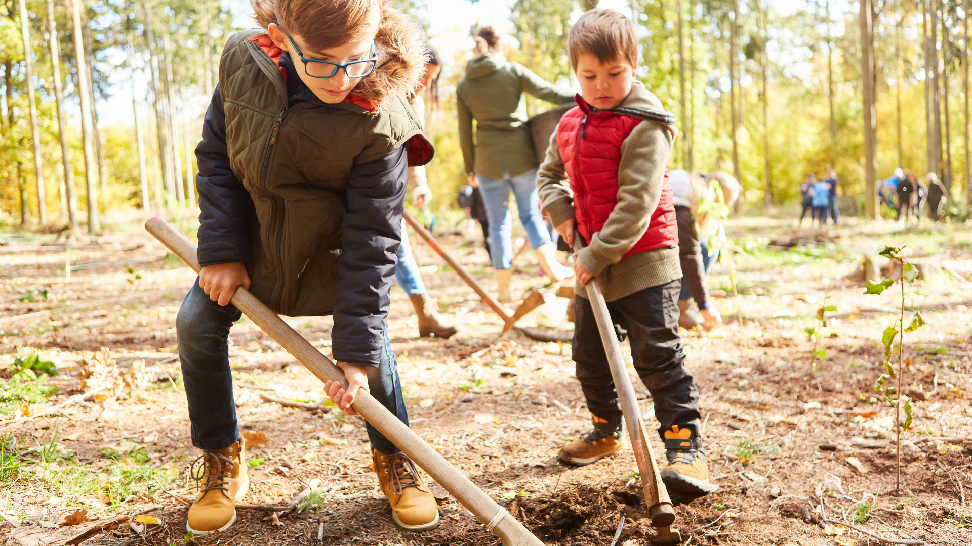Planting trees- sewing seeds for a greener future