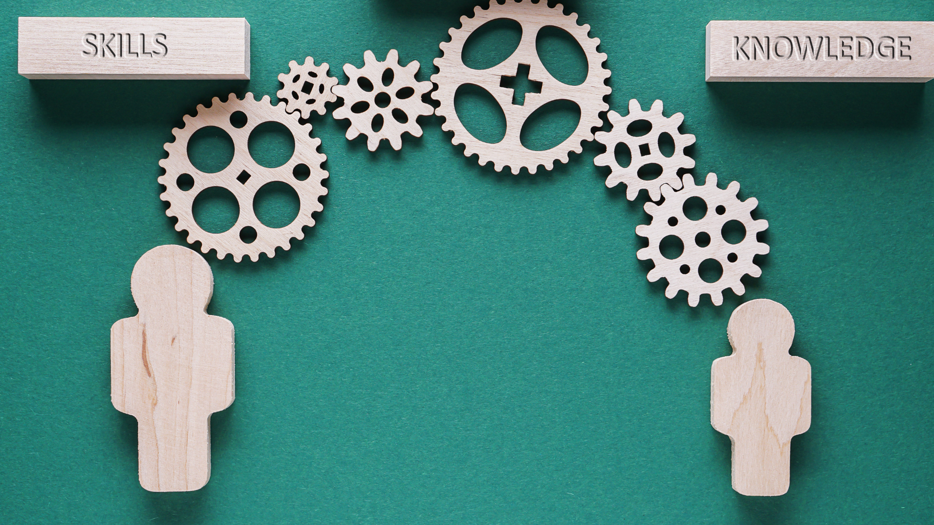 How to attract the right renewable energy talent in 2024